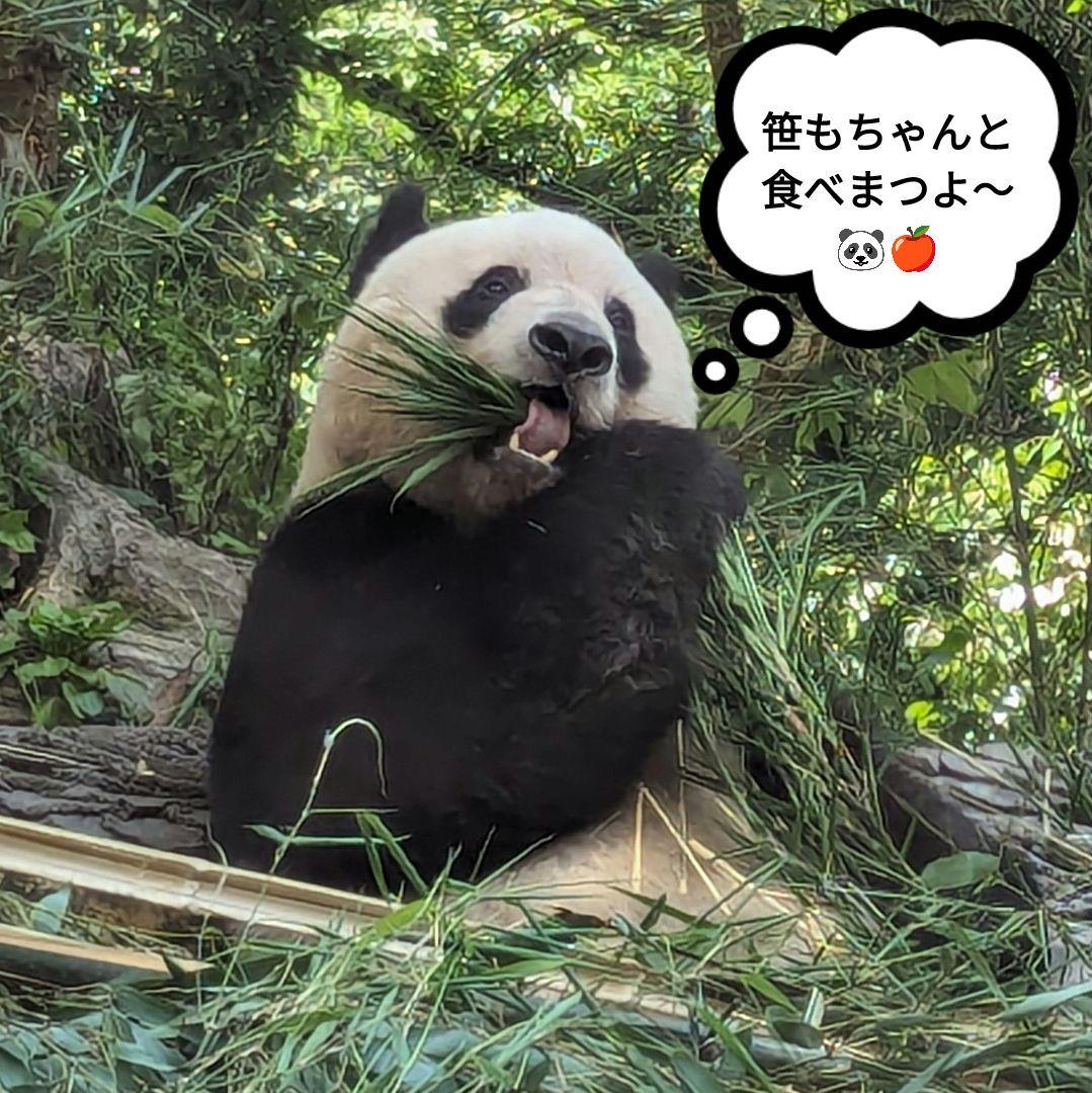 【営業再開のお知らせ】6/21〜通常営業いたします♡よろしくお願いします♡