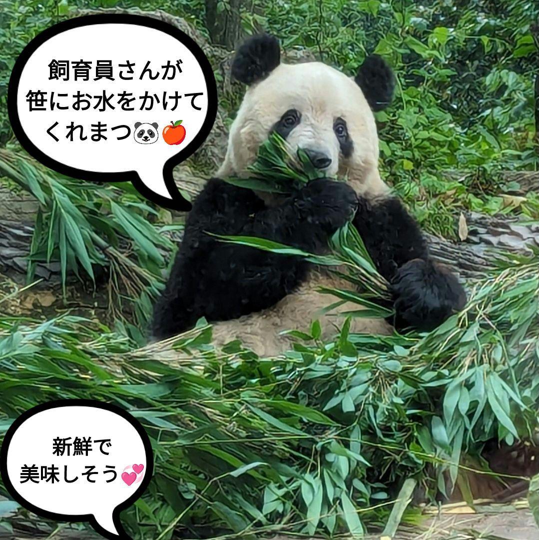 【営業再開のお知らせ】6/21〜通常営業いたします♡よろしくお願いします♡