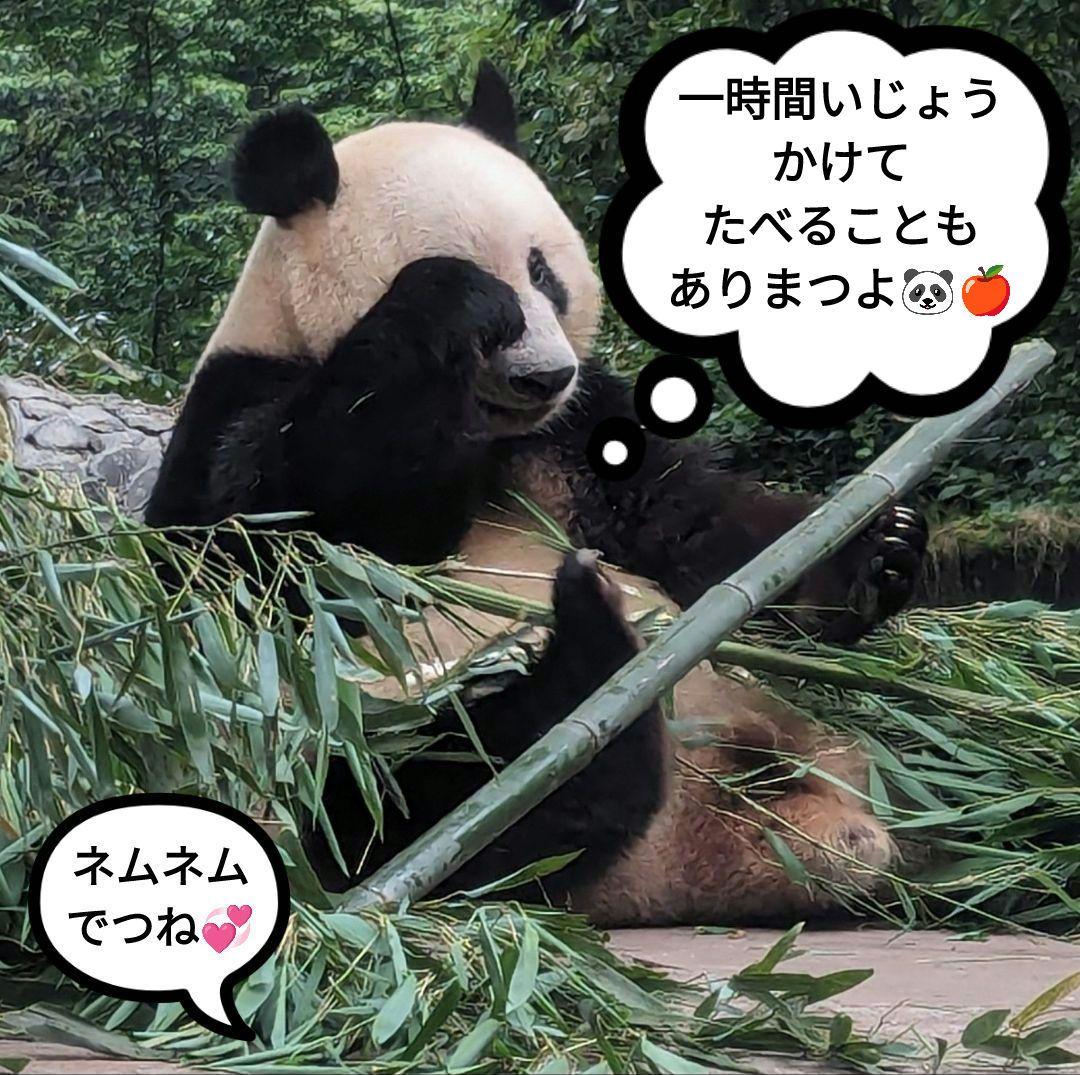 【営業再開のお知らせ】6/21〜通常営業いたします♡よろしくお願いします♡