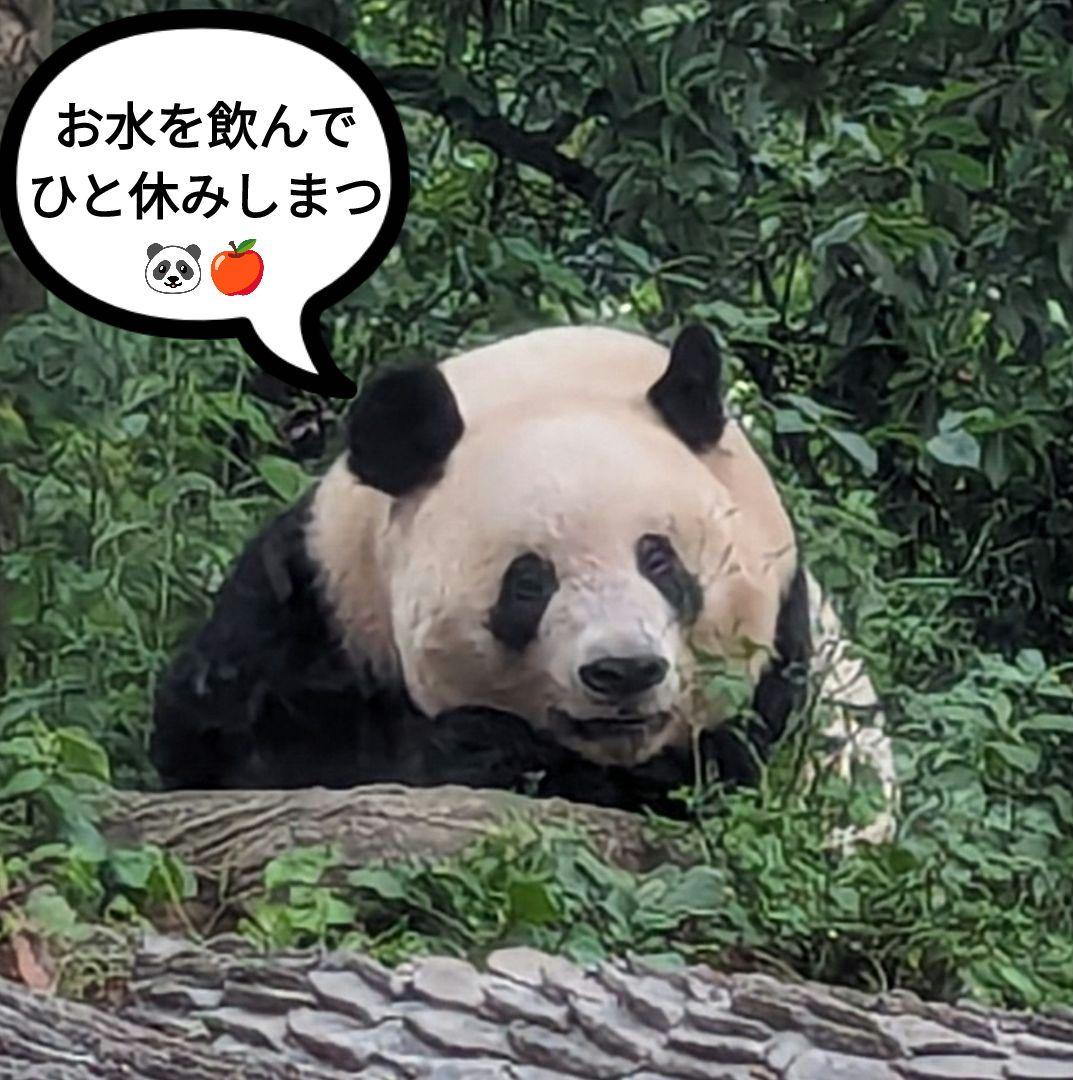 【営業再開のお知らせ】6/21〜通常営業いたします♡よろしくお願いします♡