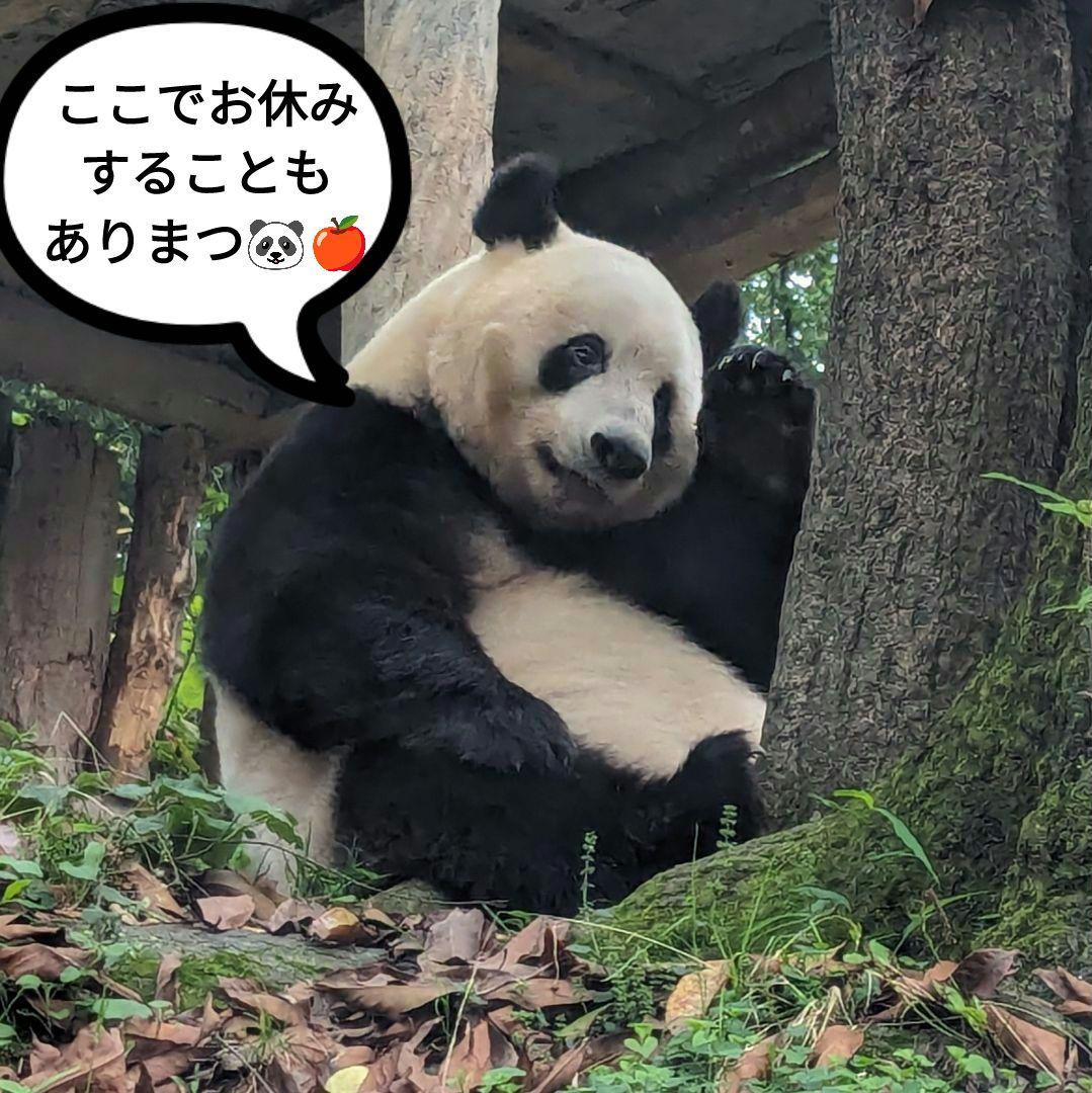 【営業再開のお知らせ】6/21〜通常営業いたします♡よろしくお願いします♡