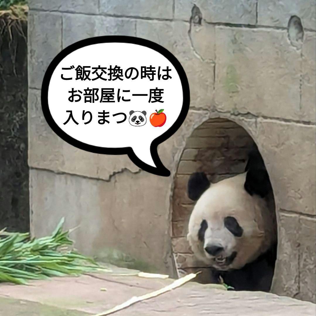 【営業再開のお知らせ】6/21〜通常営業いたします♡よろしくお願いします♡