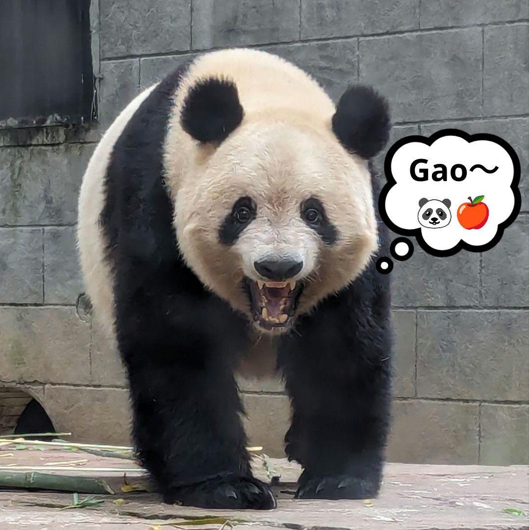 【営業再開のお知らせ】6/21〜通常営業いたします♡よろしくお願いします♡