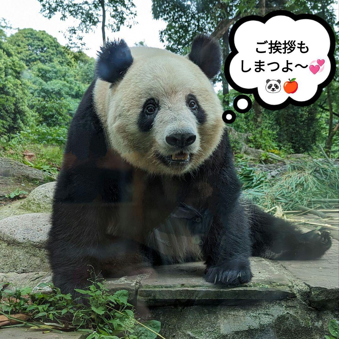 【営業再開のお知らせ】6/21〜通常営業いたします♡よろしくお願いします♡