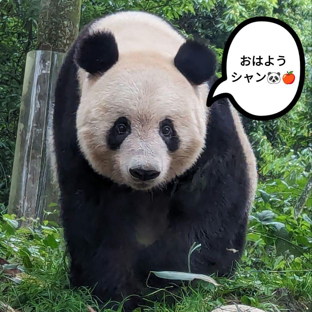 【営業再開のお知らせ】6/21〜通常営業いたします♡よろしくお願いします♡