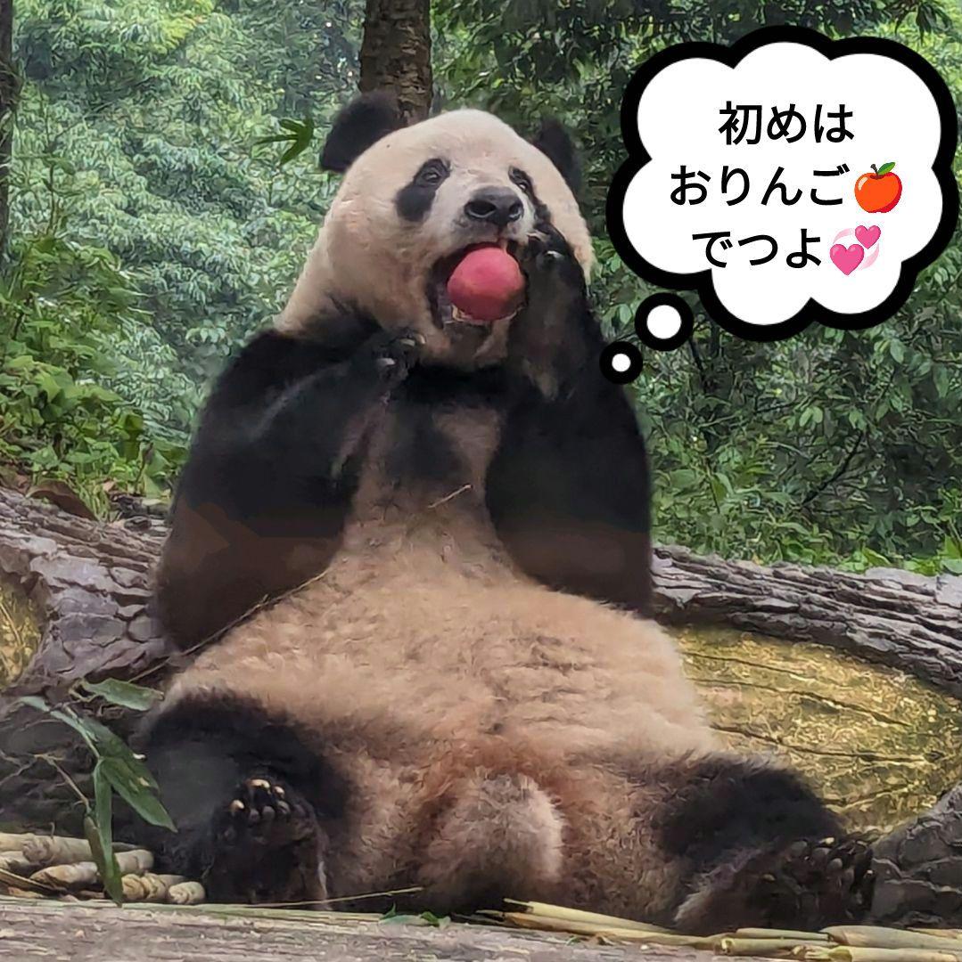 【営業再開のお知らせ】6/21〜通常営業いたします♡よろしくお願いします♡