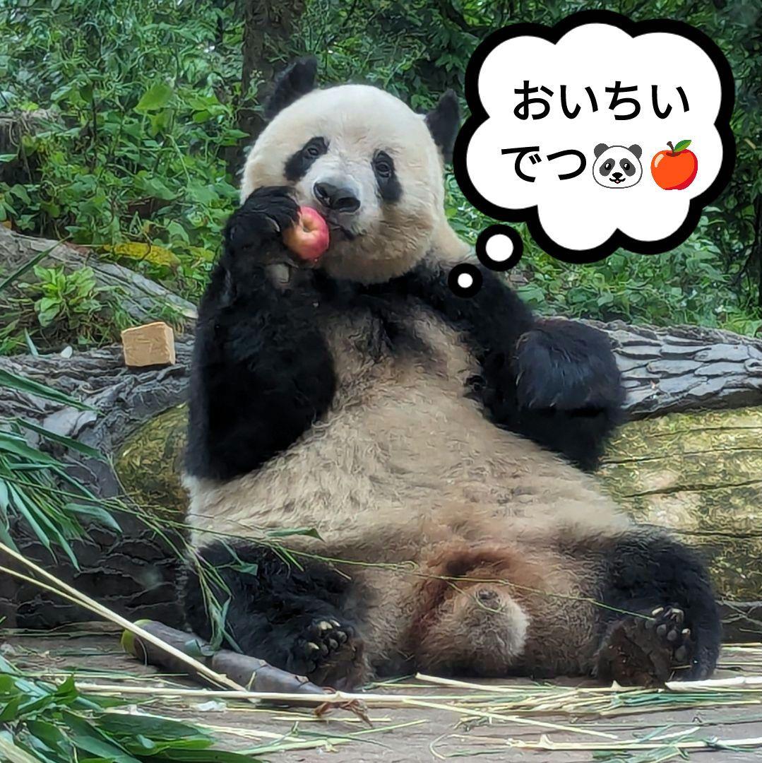 【営業再開のお知らせ】6/21〜通常営業いたします♡よろしくお願いします♡