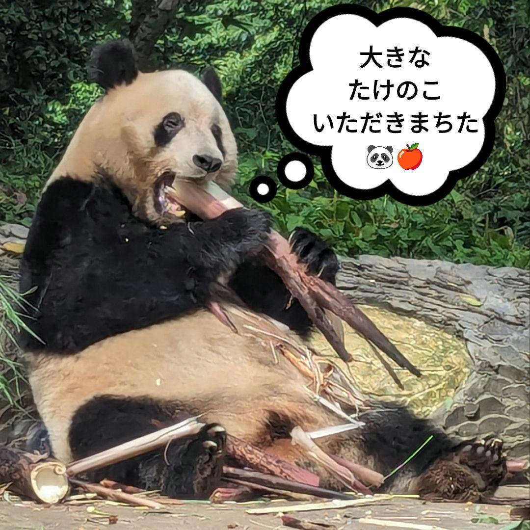 【営業再開のお知らせ】6/21〜通常営業いたします♡よろしくお願いします♡