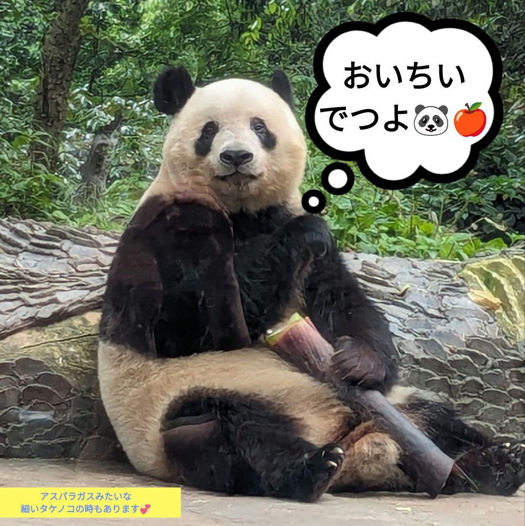 【営業再開のお知らせ】6/21〜通常営業いたします♡よろしくお願いします♡