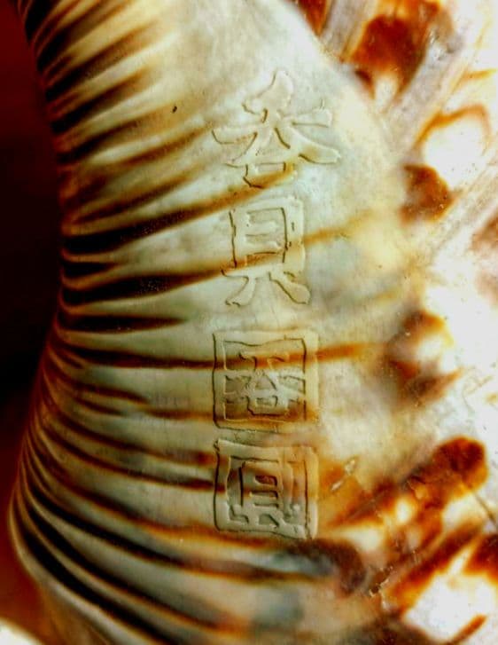 骨董ホラ貝、法螺貝　修行僧、山伏、魔除け　文字彫刻　美術品