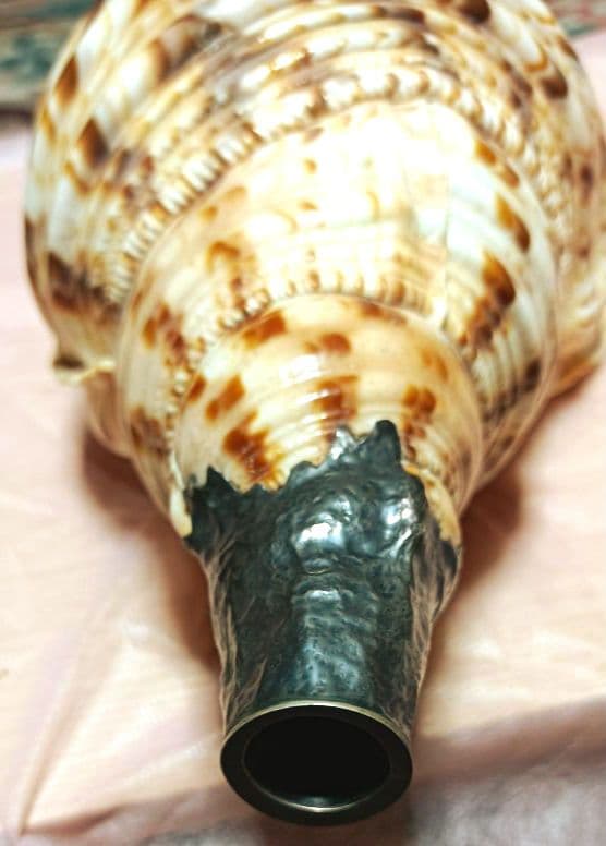 骨董ホラ貝、法螺貝　修行僧、山伏、魔除け　文字彫刻　美術品