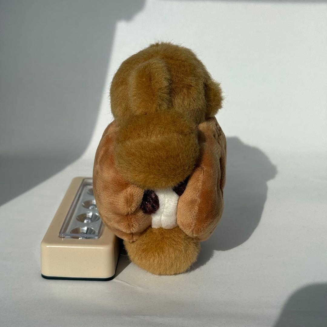 ノーレーズンサンドイッチ　メイリーパーラー　キャラメルくま