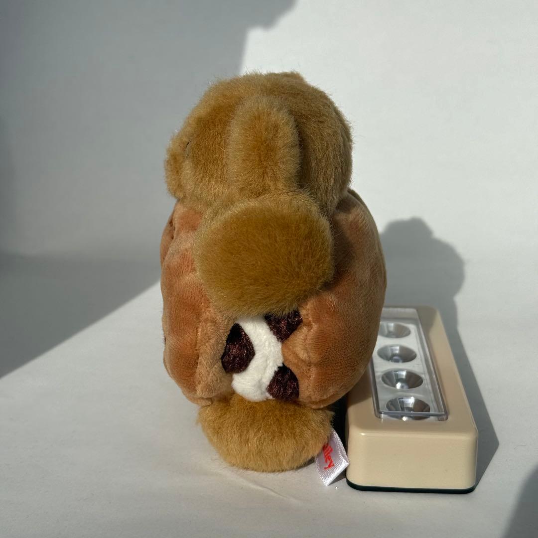 ノーレーズンサンドイッチ　メイリーパーラー　キャラメルくま