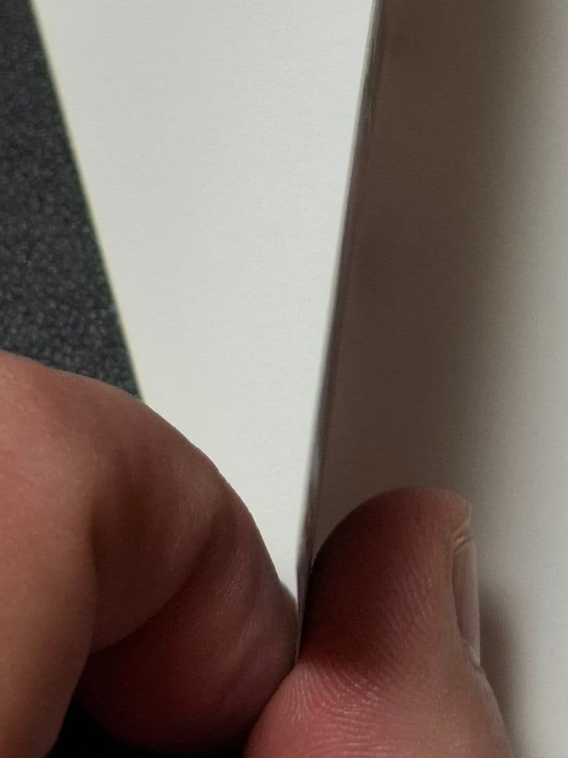 値下げ！　4/1まで．☆☆ムサシとコジロウ 1枚 のみ☆☆