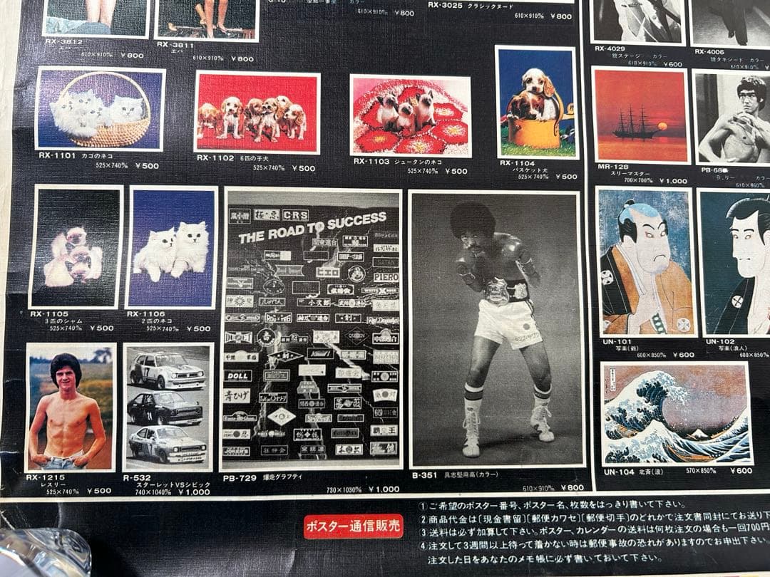 岩下レーシングカタログ（両面ポスター）１９８1年貴重な当時の絶版品　入手困難