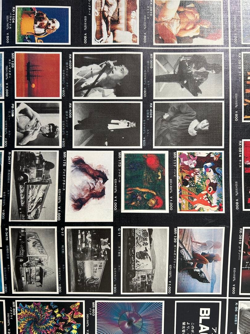 岩下レーシングカタログ（両面ポスター）１９８1年貴重な当時の絶版品　入手困難