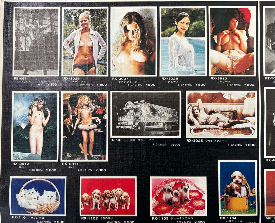 岩下レーシングカタログ（両面ポスター）１９８1年貴重な当時の絶版品　入手困難