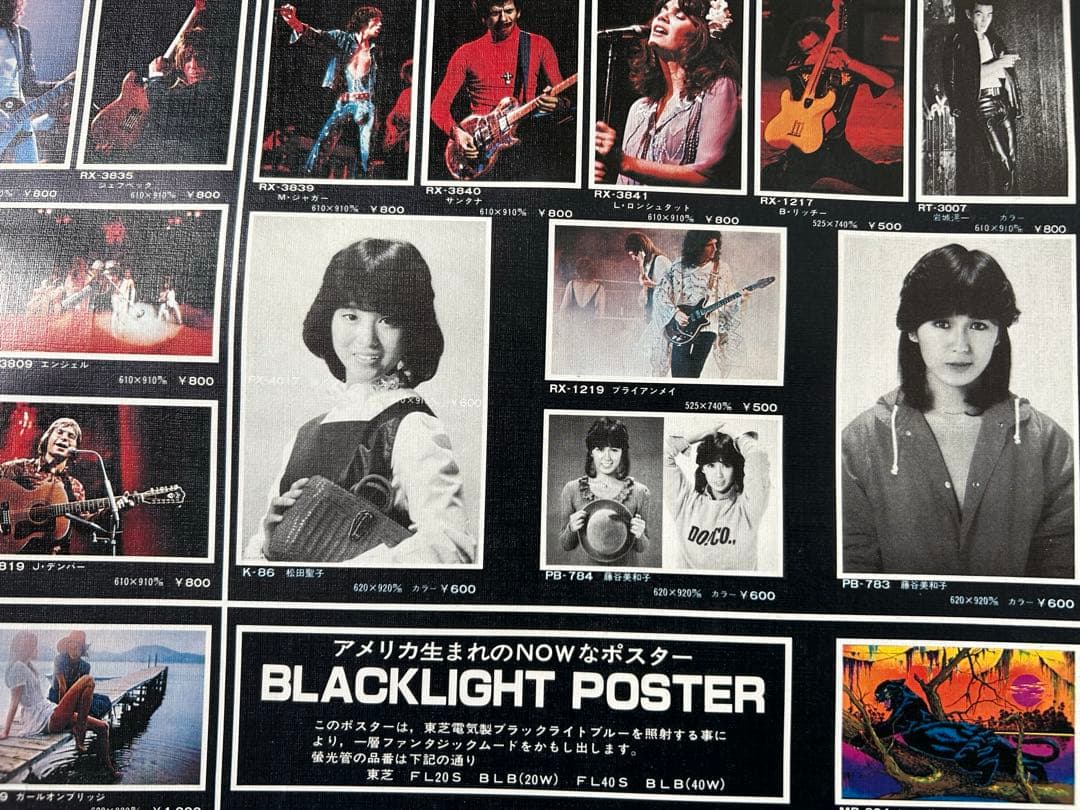 岩下レーシングカタログ（両面ポスター）１９８1年貴重な当時の絶版品　入手困難