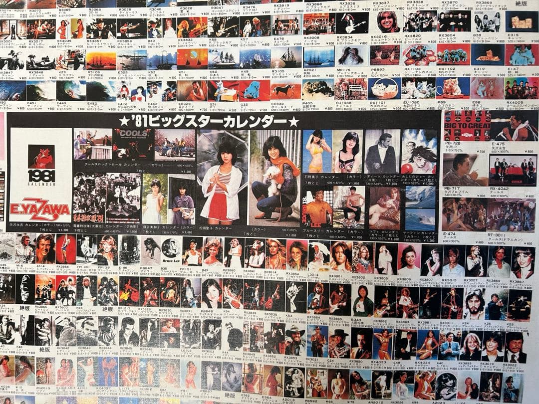 岩下レーシングカタログ（両面ポスター）１９８1年貴重な当時の絶版品　入手困難