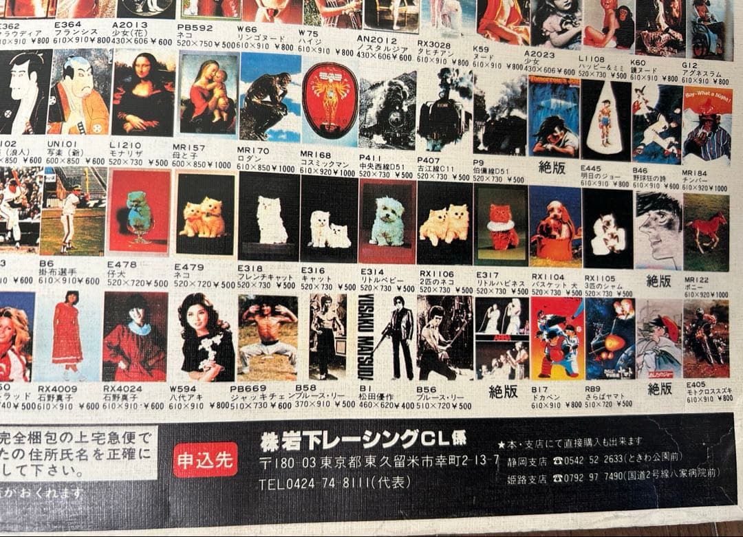 岩下レーシングカタログ（両面ポスター）１９８1年貴重な当時の絶版品　入手困難