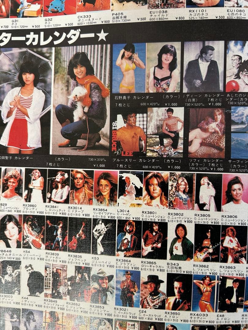 岩下レーシングカタログ（両面ポスター）１９８1年貴重な当時の絶版品　入手困難