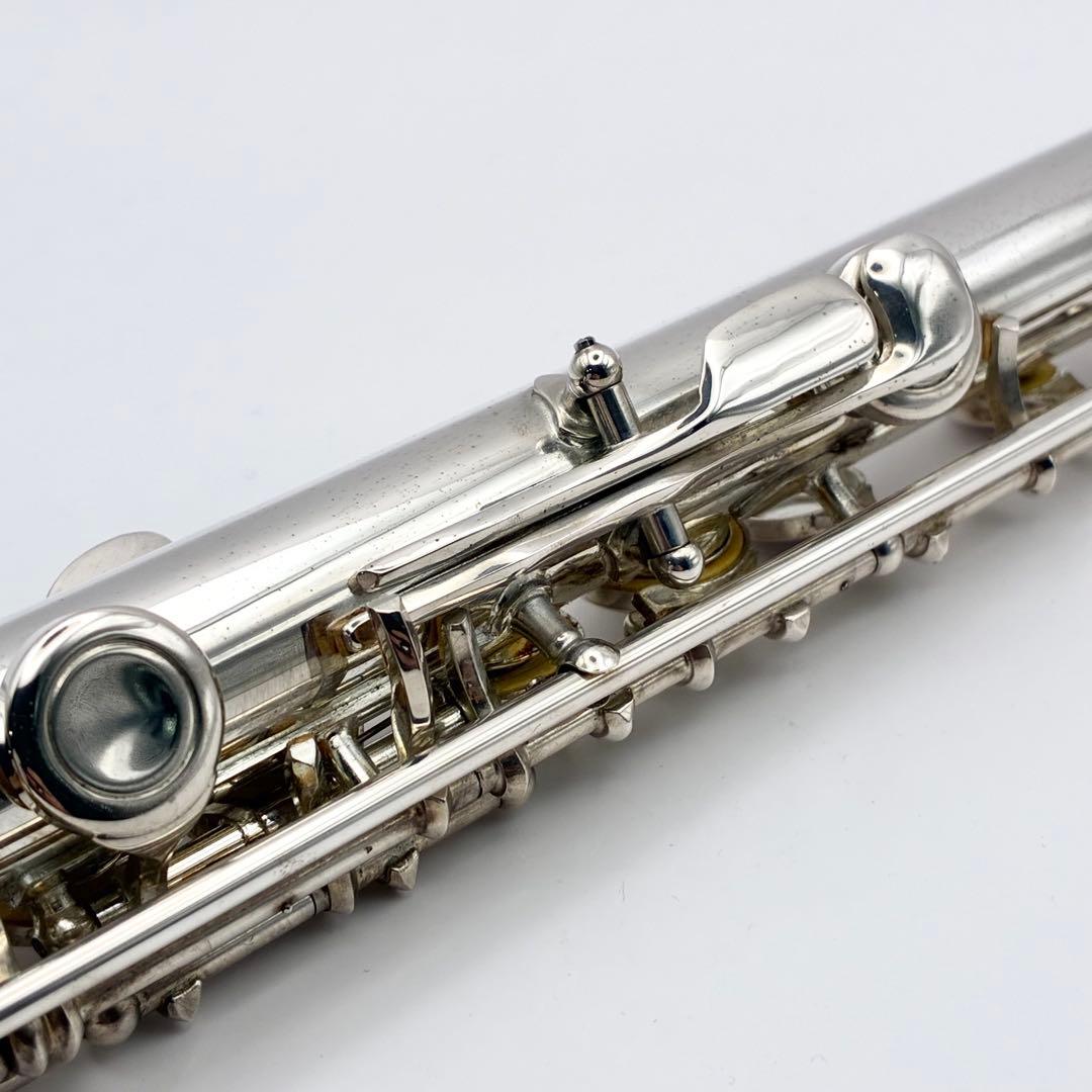 Kaerntner ケルントナー フルート ハードケース