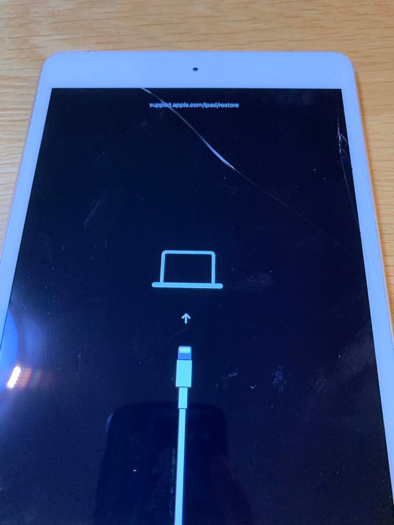 【雪ちゃんさん専用】iPad mini Wi-Fi ジャンク リカバリモード状態