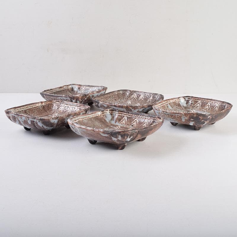 和食器　美土里窯　鼠志野　草文　向付　五客　共箱　M　R9246B