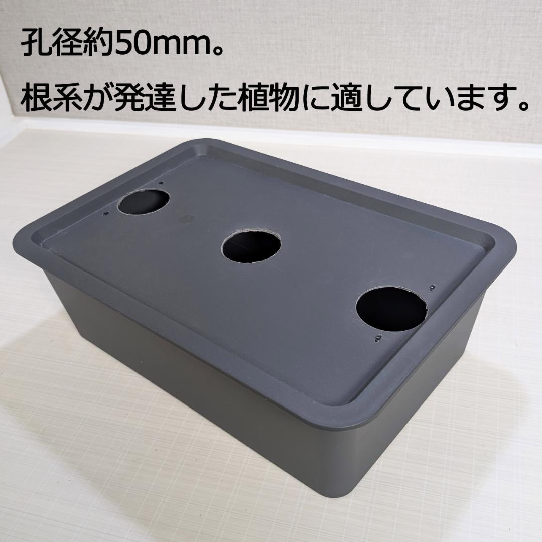 3セット！水耕栽培キット 水耕栽培器（10穴) 大
