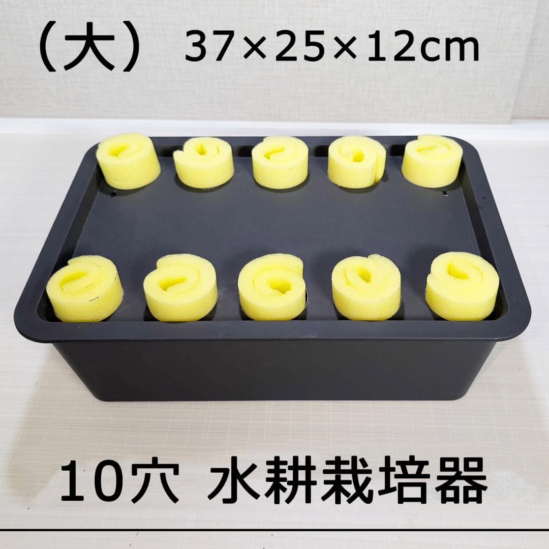3セット！水耕栽培キット 水耕栽培器（10穴) 大