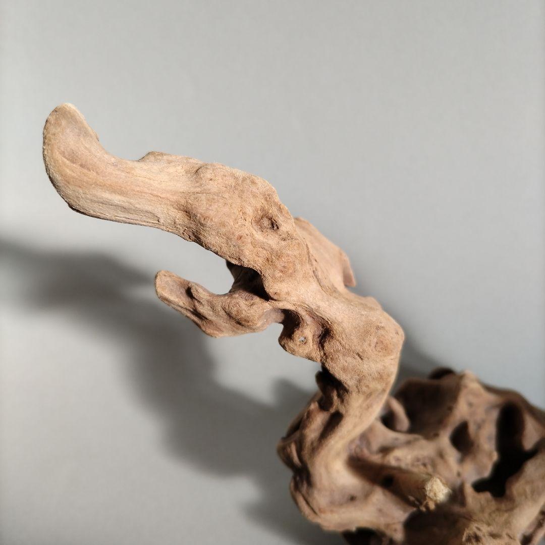 【匿名配送】龍形 マングローブ流木 オブジェ