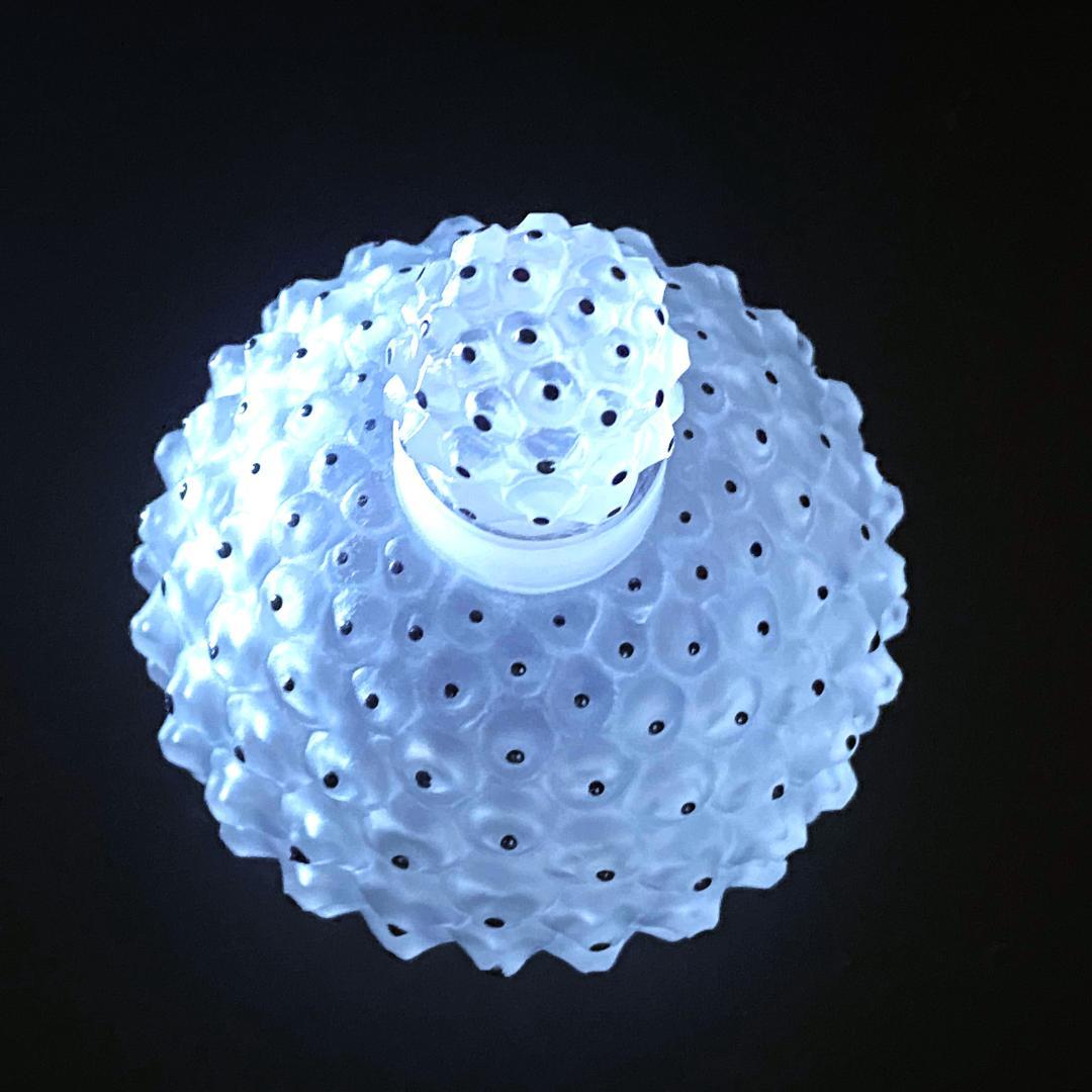 【美品】Lalique★ラリック★香水瓶★カクタス