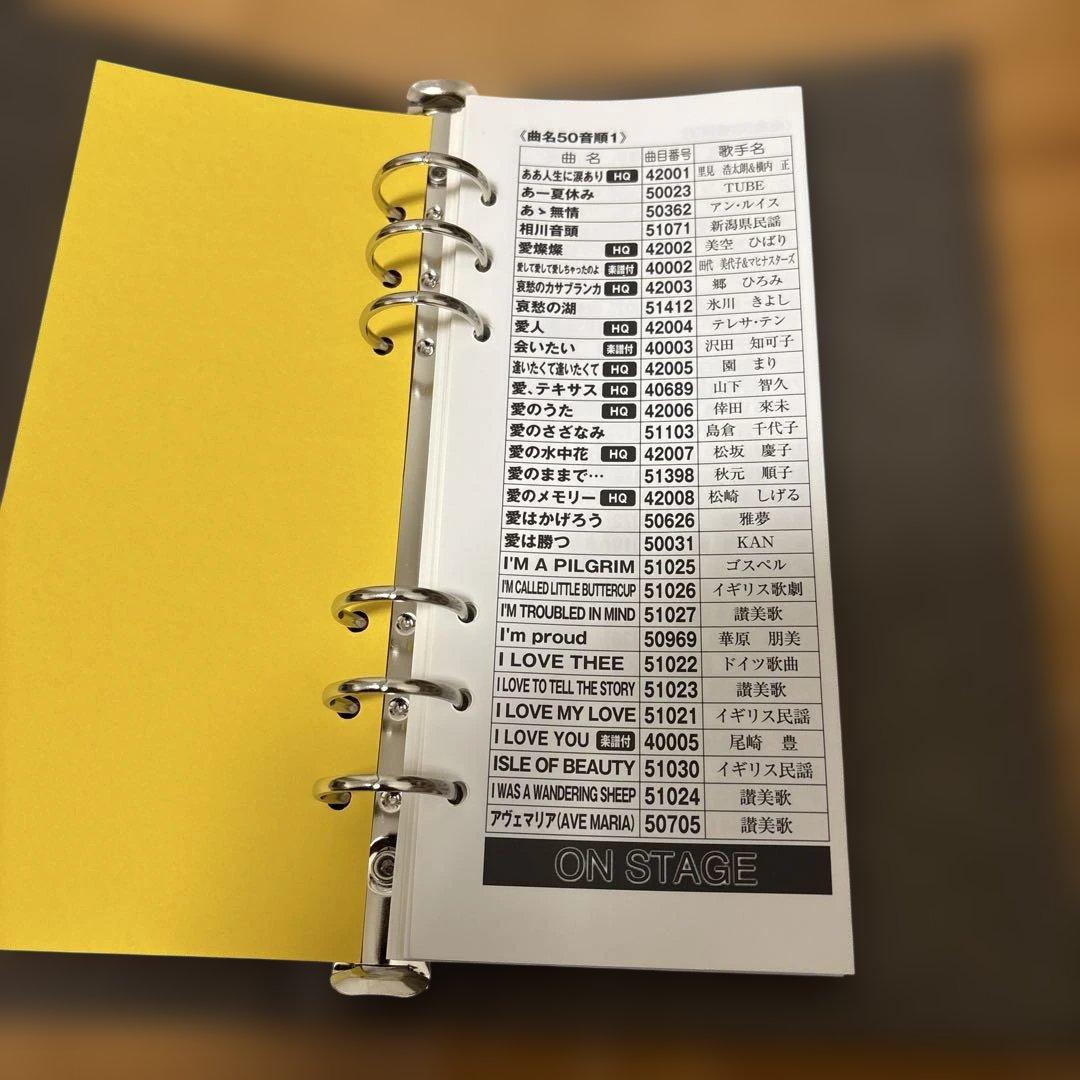 ON STAGE カラオケ オンステージ PK-110GT ペアマイク付