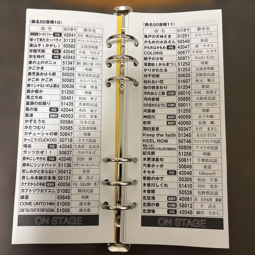 ON STAGE カラオケ オンステージ PK-110GT ペアマイク付