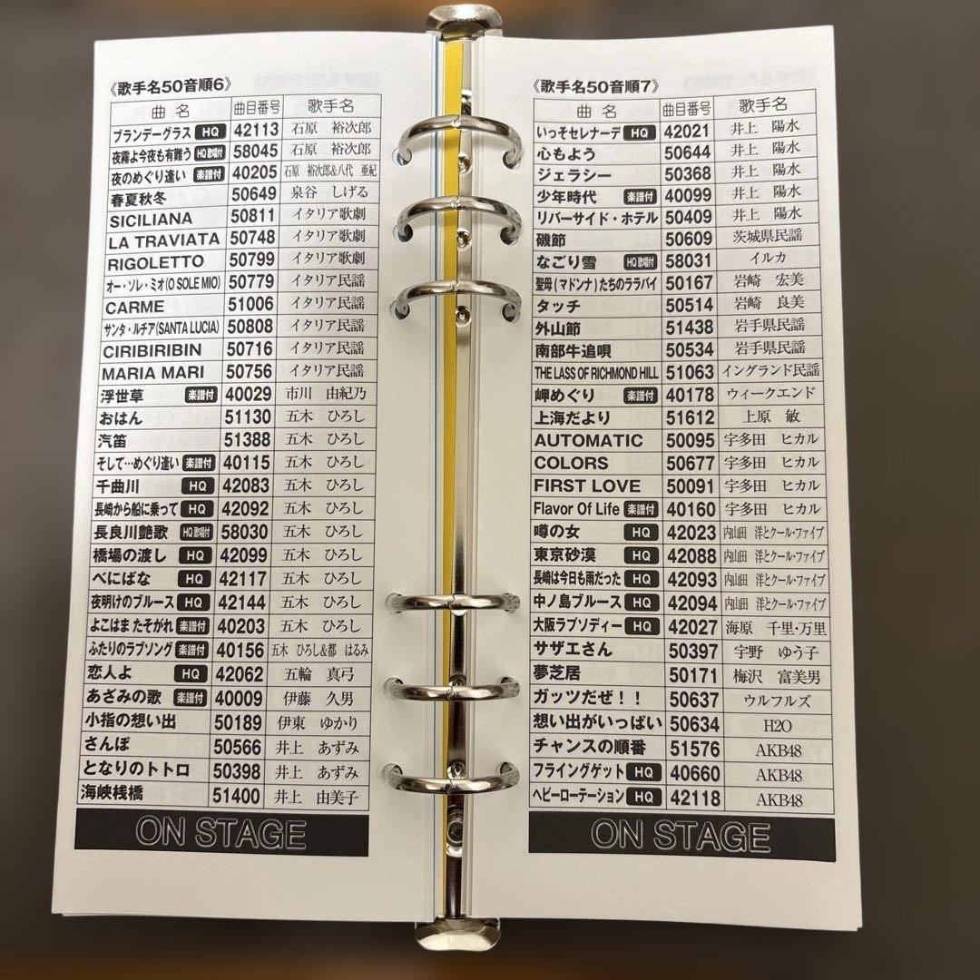 ON STAGE カラオケ オンステージ PK-110GT ペアマイク付