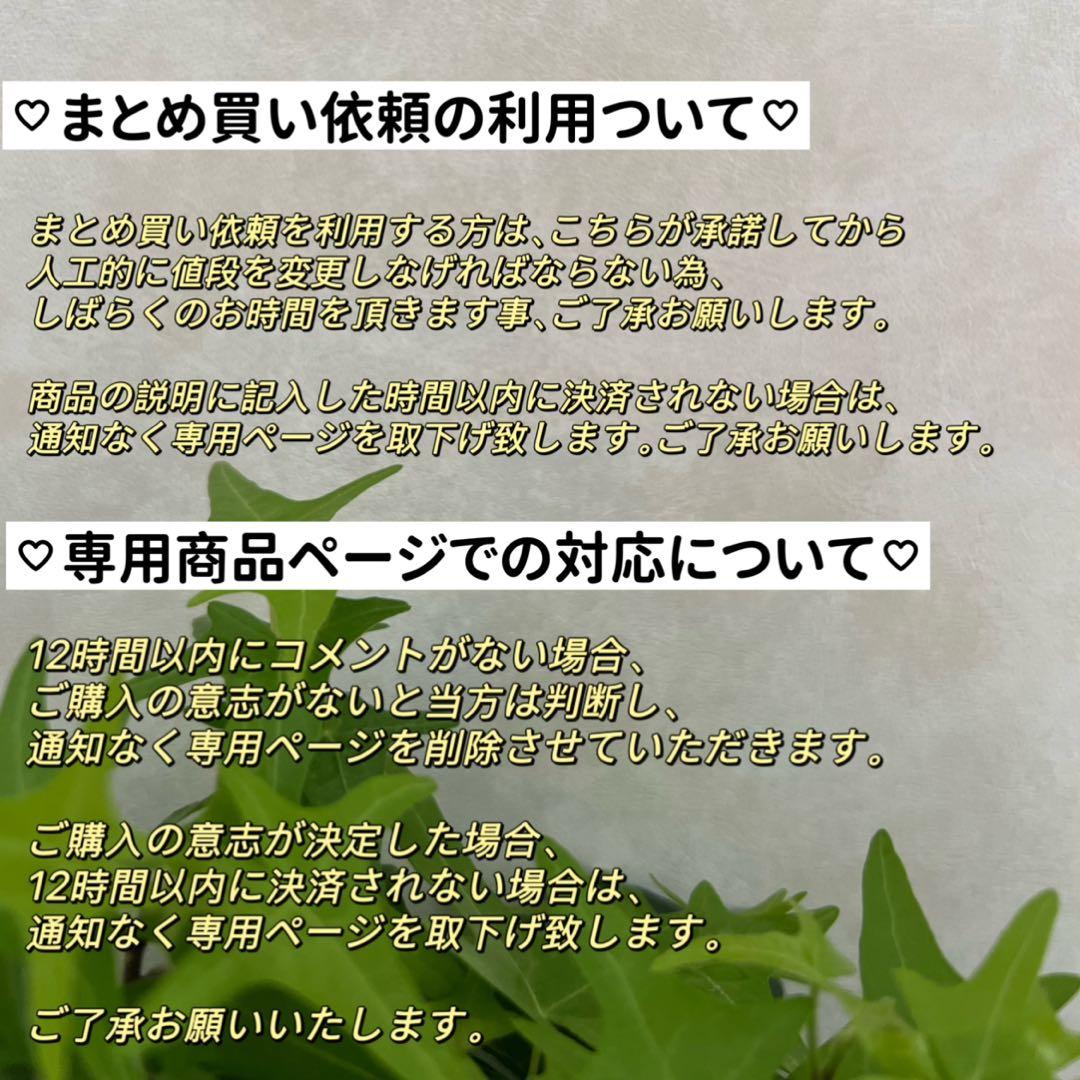 VIOLA様 4点まとめ　星&三日月パールピアス　2粒　パールフォークリング