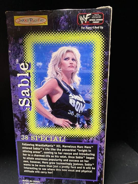 wwe フィギュア　セイブル　プロレスフィギュア　ブロックレスナー