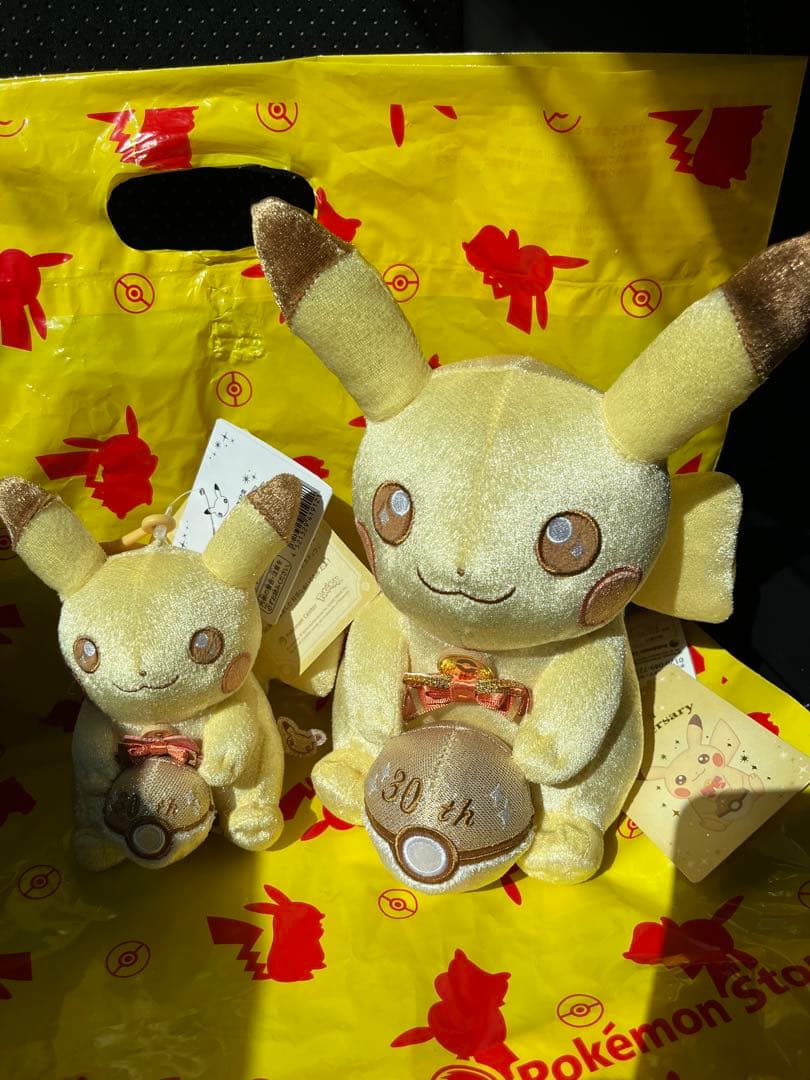 30周年記念ぬいぐるみピカピカ！ピカチュウ＋マスコット ピカピカ！ピカチュウ