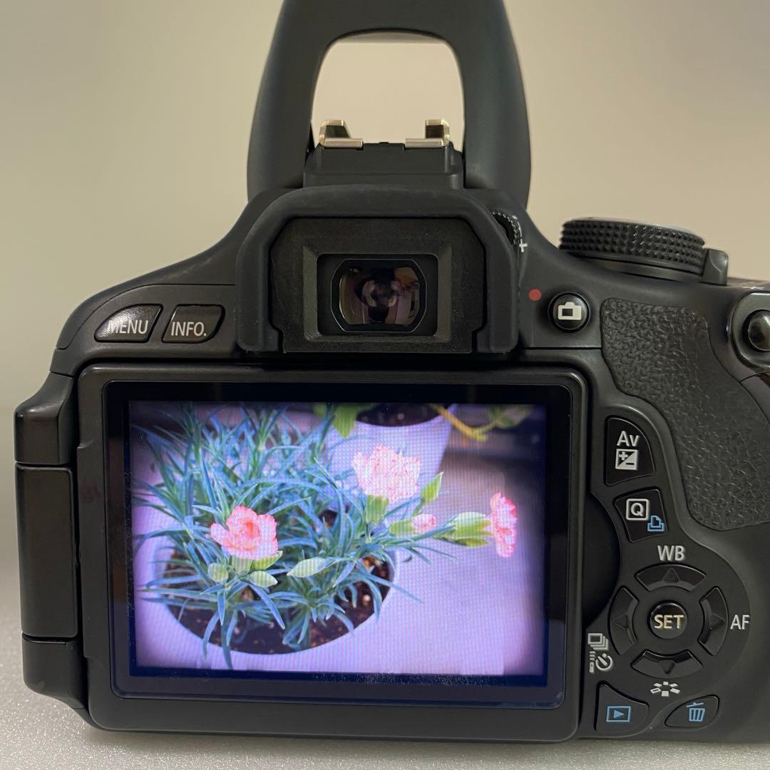 初心者におすすめ❣️ Canon kiss x5 スマホ転送 自撮りOK