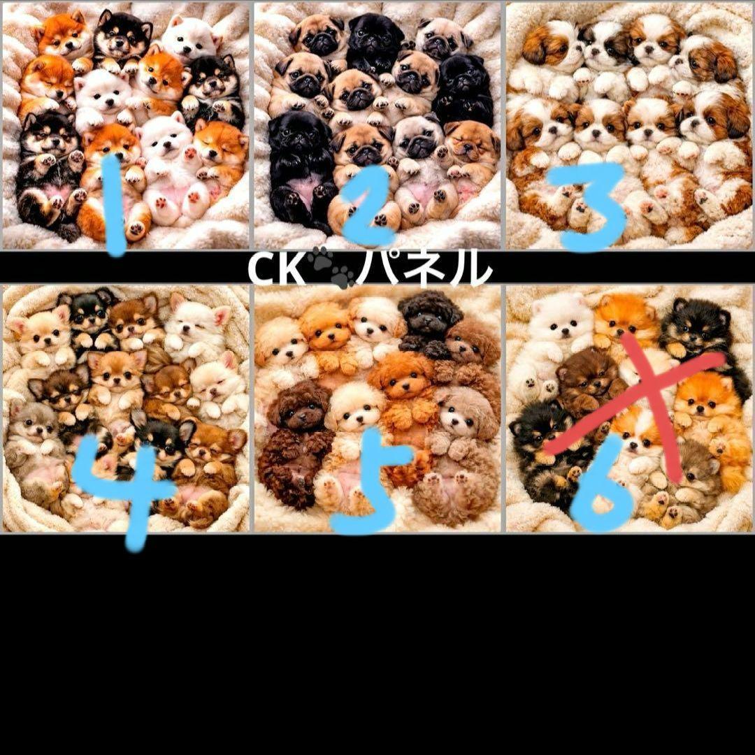 ハンドメイドオーダー受け付け(パピヨン、トイプードル、柴犬、パグ)