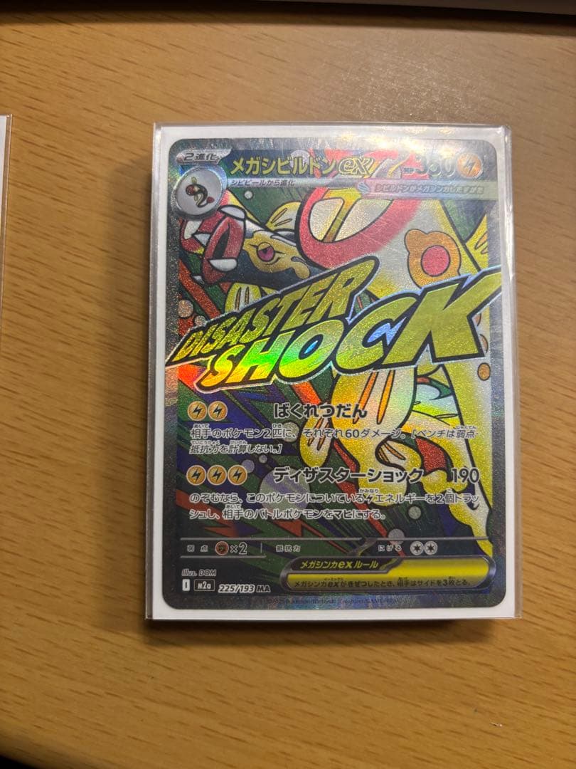 ウネルミナモEX メガシンカリュウEX サーファー セット