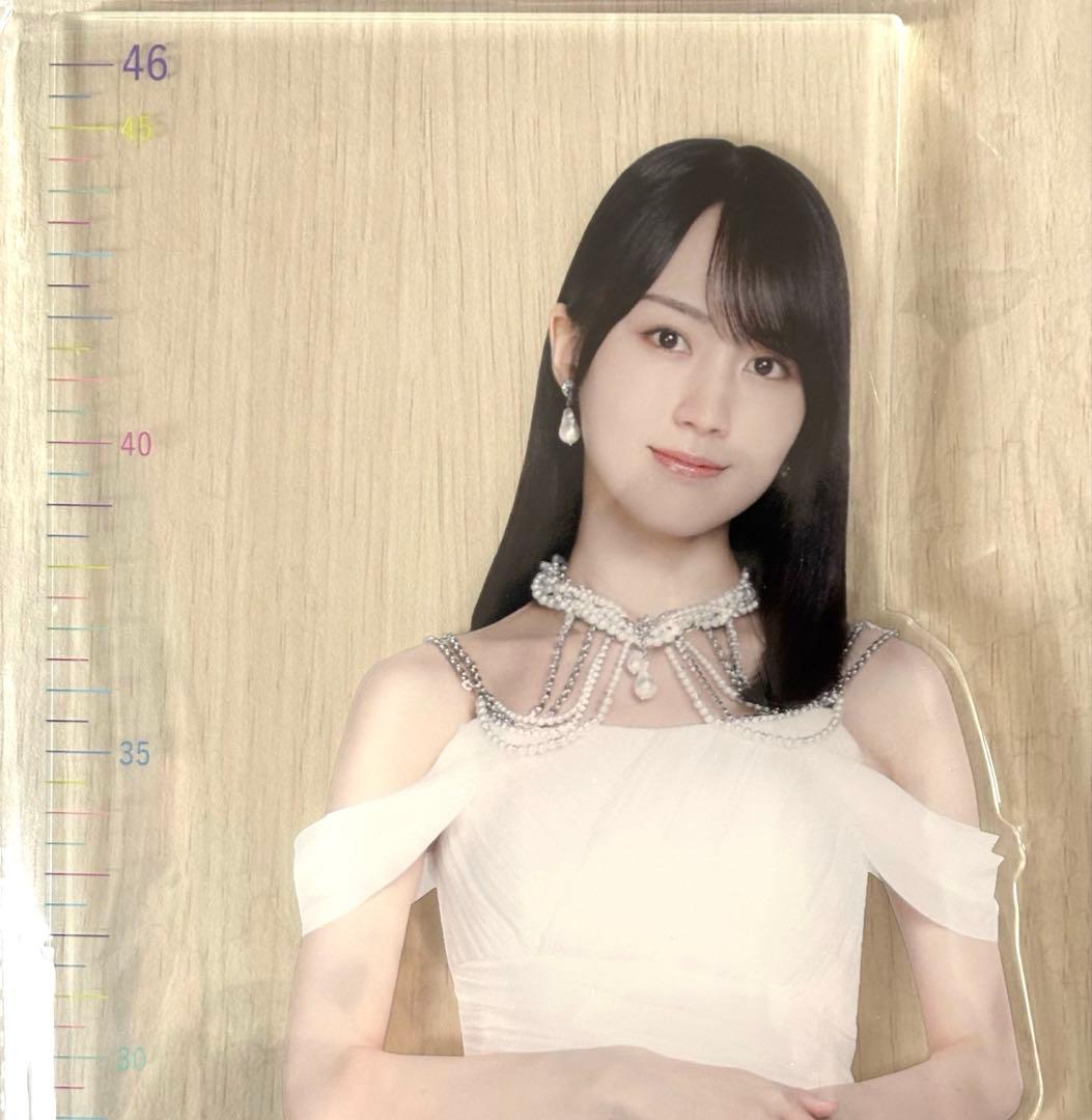 賀喜遥香 アクリル定規スタンド 2026年 福袋／13th アクスタ／ポスター
