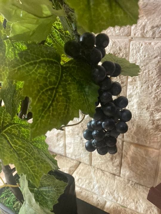 光触媒　人工観葉植物　ウォールグリーン　造花　アレンジ　マスカットブドウ