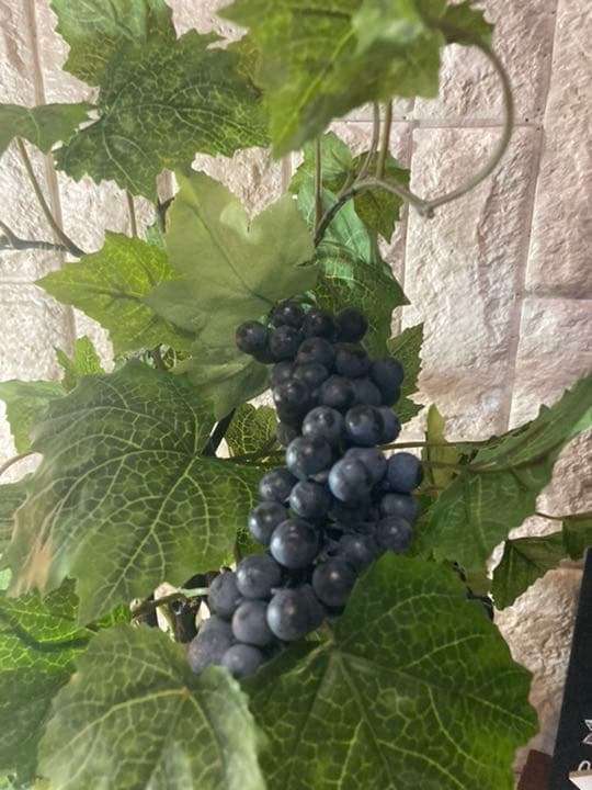 光触媒　人工観葉植物　ウォールグリーン　造花　アレンジ　マスカットブドウ