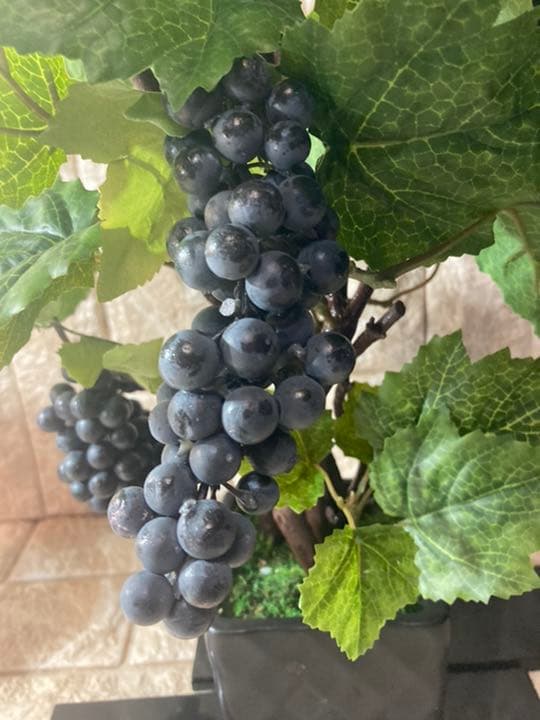 光触媒　人工観葉植物　ウォールグリーン　造花　アレンジ　マスカットブドウ