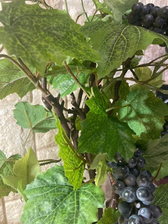 光触媒　人工観葉植物　ウォールグリーン　造花　アレンジ　マスカットブドウ