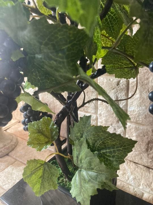 光触媒　人工観葉植物　ウォールグリーン　造花　アレンジ　マスカットブドウ