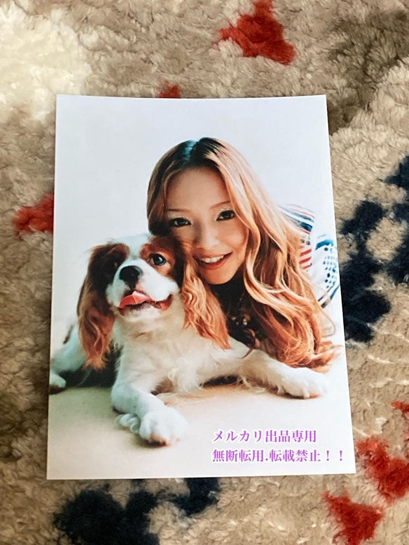 値下げ　超美品　レア　本物　安室ちゃん公式グッズ写真４枚＋ニュースペーパーセット