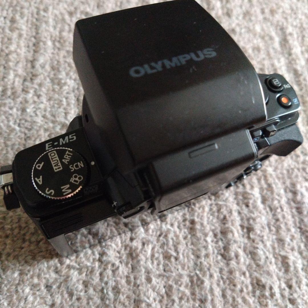 OLYMPUS OM-D E-M5 本体
