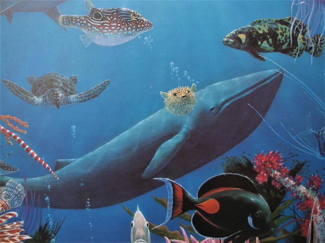 チャールズリンブラッグ「ウォーターエッジ」オフセットリト,究極の水族館